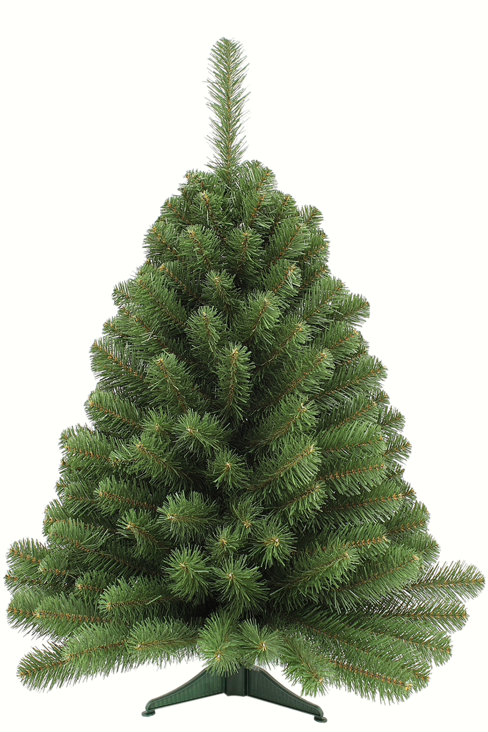 Christmas Tree <br> 2ft Norway Spruce Christmas Tree (61cm)