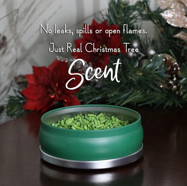 SCENTSICLES - White Winter Fir Fragrance, Green Tin
