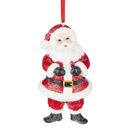RAZ Imports <br> Hanging Ornament <br> Santa Ornament