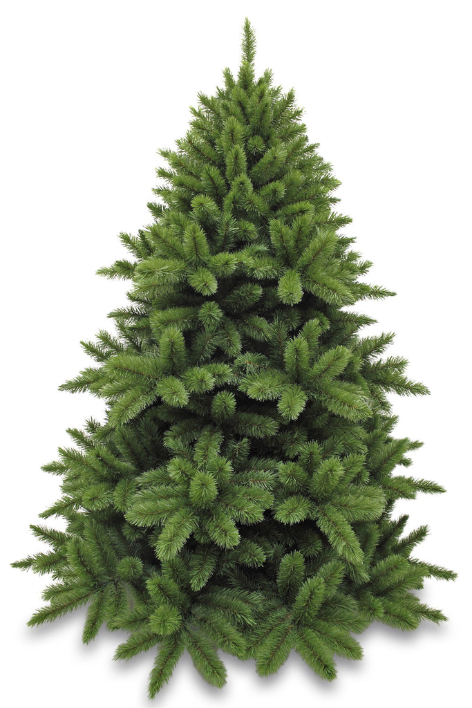 Christmas Tree <br> 7ft Classic Regal Spruce (2.13m)