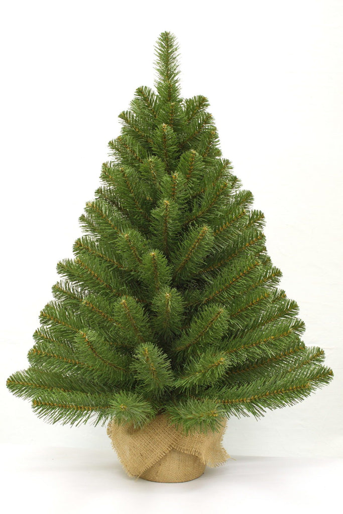 Christmas Tree <br> 3ft Alpine Spruce (91cm)