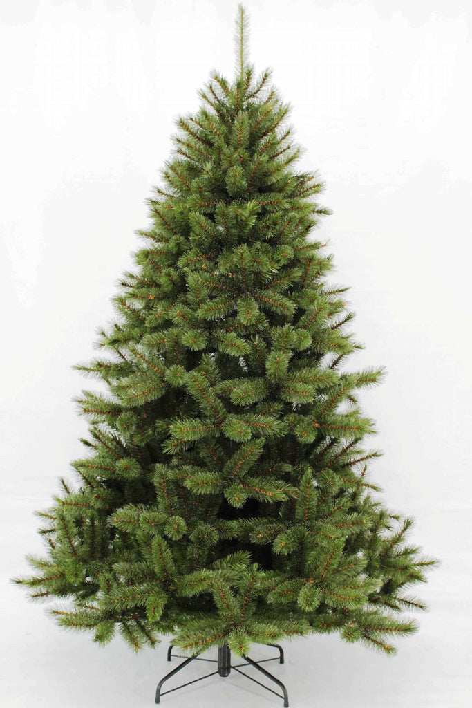 Christmas Tree <br> 7ft Bristlecone Fir with Iced Tips (2.14m)