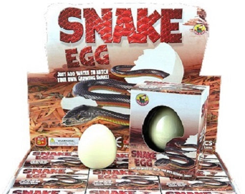 Easter - Hatching Eggs <br> Growing Pet Snake Egg (Small)