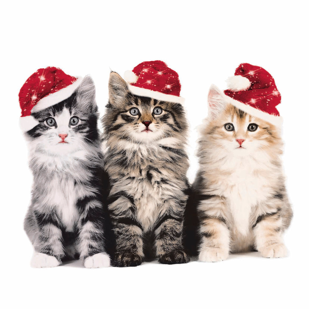 Luncheon Napkin - Christmas Cats <br> (Pack of 20)