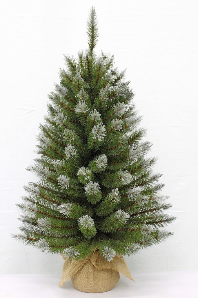 Christmas Tree <br> 3ft Pittsburgh Spruce (91cm)