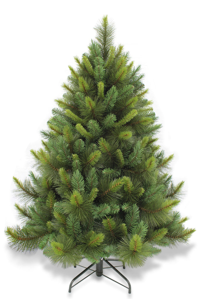 Christmas Tree <br> 5ft Ponderosa Pine (1.53m)