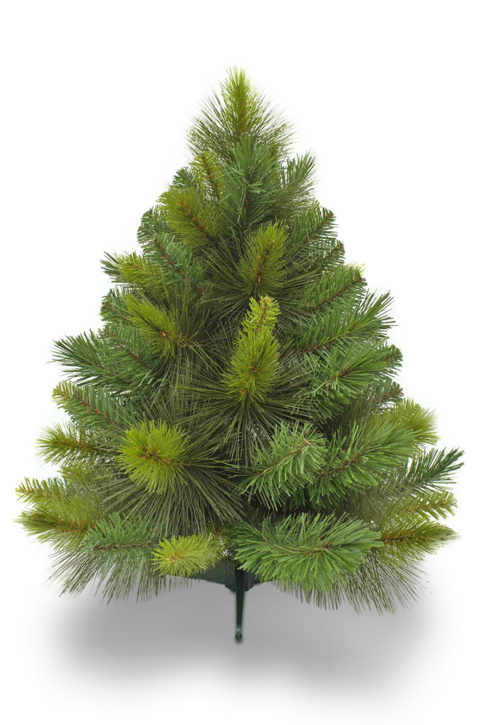 Christmas Tree <br> 2ft Ponderosa Pine (61cm)