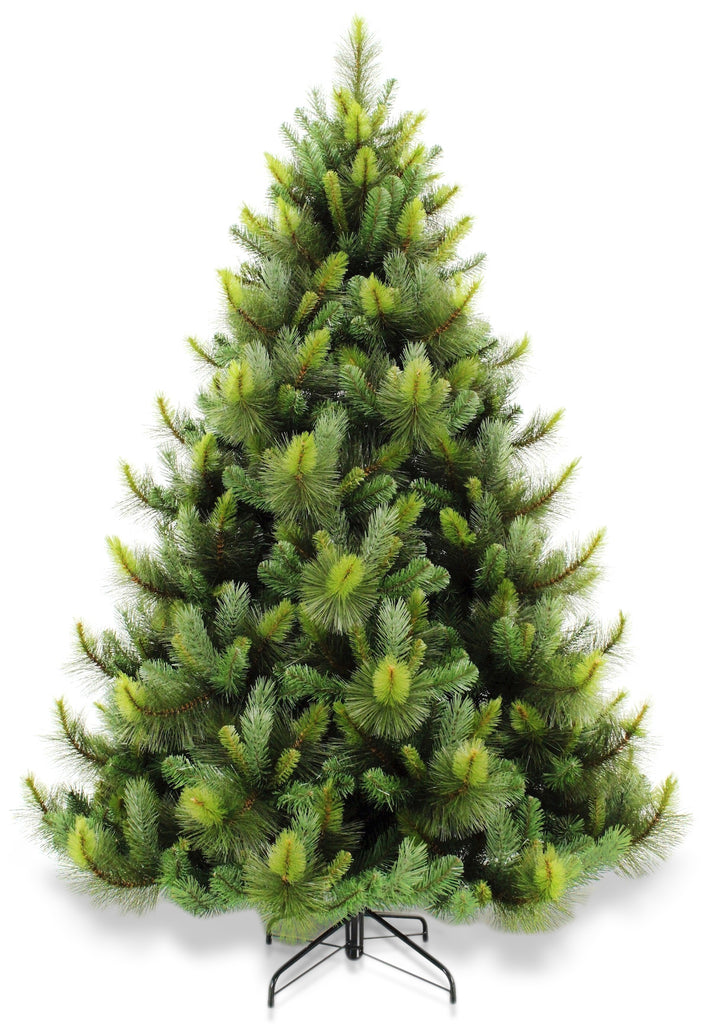 Christmas Tree <br> 7ft Ponderosa Pine (2.13m)