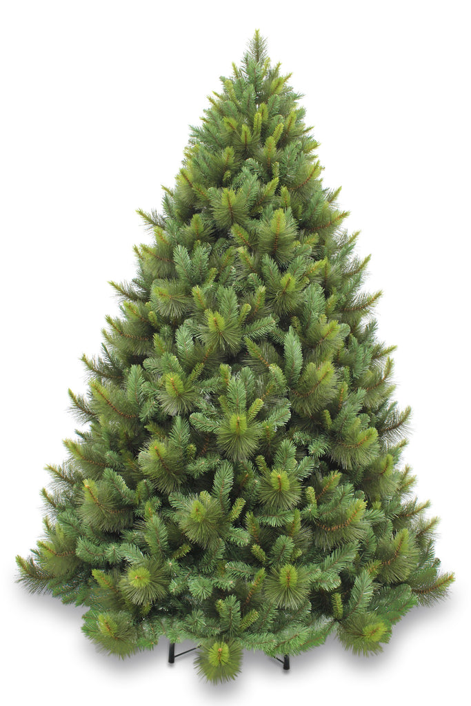 Christmas Tree <br> 9ft Ponderosa Pine (2.74m)