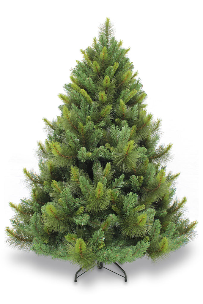 Christmas Tree <br> 6ft Ponderosa Pine (1.83m)