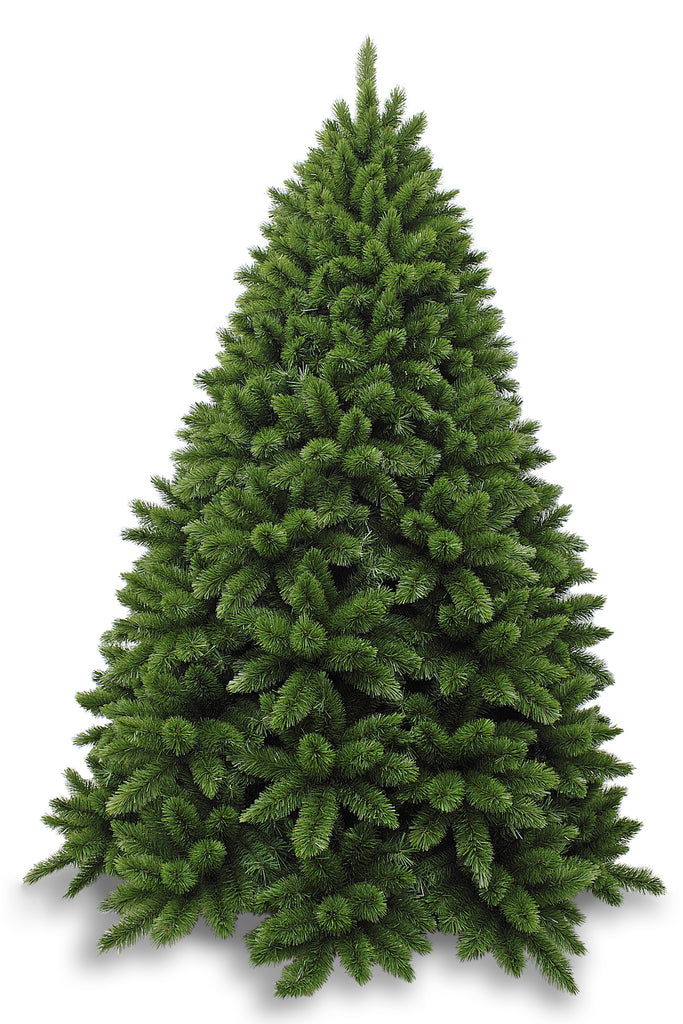 Christmas Tree <br> 7.5ft Regal Spruce (2.28m) <br> Green