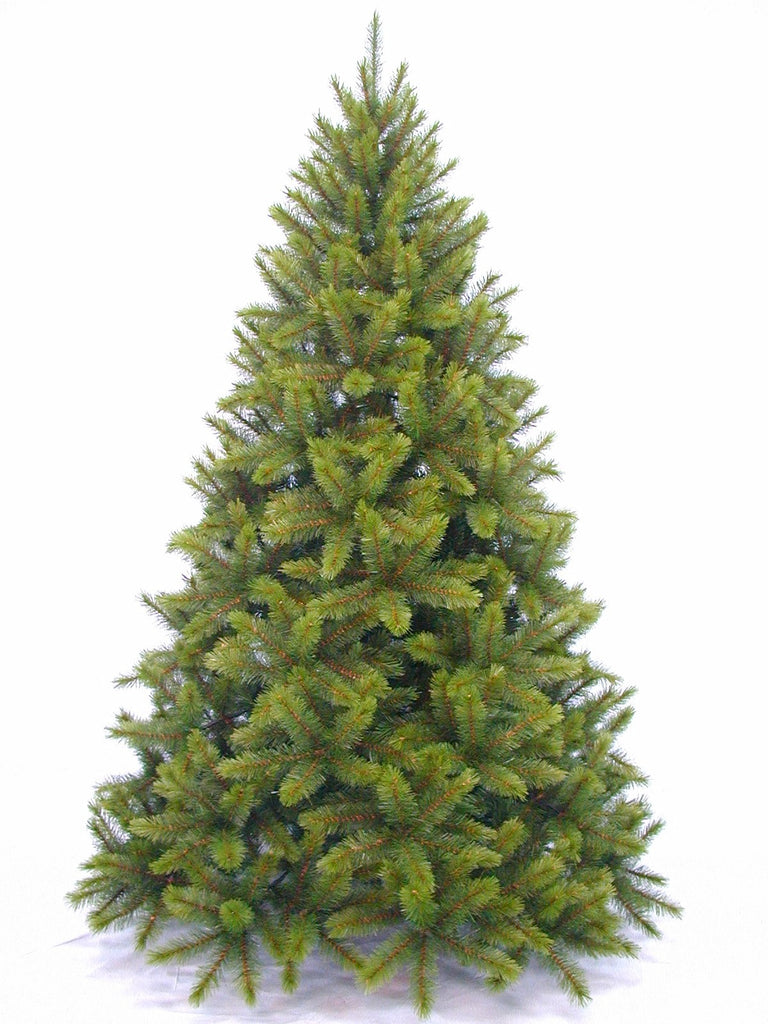 Christmas Tree <br> 7ft Sierra Nevada Pine (2.14m)