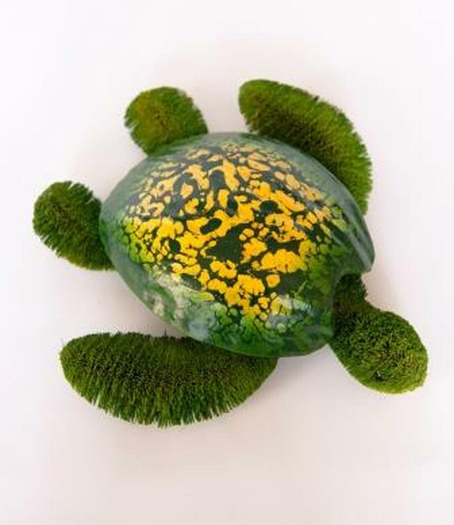 Bristlebrush Designs <br> Sea Turtle with Hard Shell