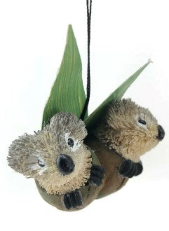 Bristlebrush Designs <br> Koala Twin Gumnut Baby Ko