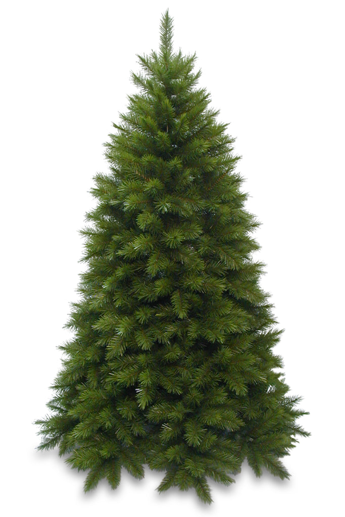 Christmas Tree <br> 6.5ft Vienna Spruce Deluxe (1.98m)
